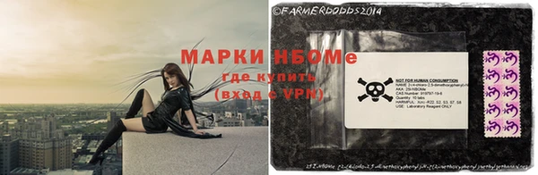 прущие грибы Алексеевка