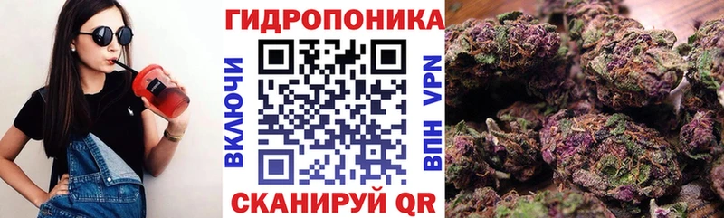 Канабис сатива  купить   Сенгилей 